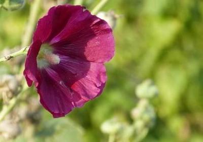 人物动作的优美句子(优选20句)