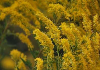 人生句子唯美图片(热门80句)