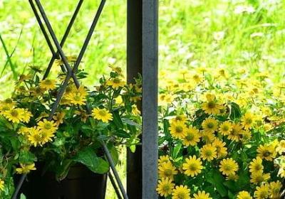 人生低谷的感想句子(热门70句)