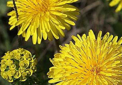 人生与酒 句子(必备40句)