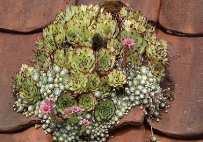 人生低谷的高手句子(实用70句)