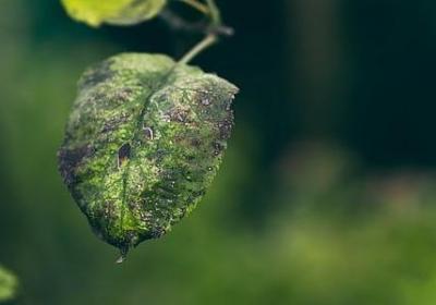 人生句子表达心情短语(必备40句)