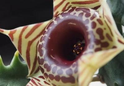 人生哲理爱情的句子(80句)