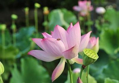 人生不能坐享其成的句子(实用20句)