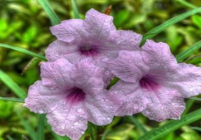 人生感悟文案 搞笑句子(汇总40句)