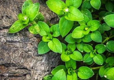 人生是句子(实用70句)