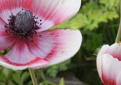 人生沧桑岁月忙句子(优选10句)