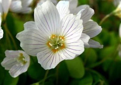 人生抉择的经典句子(精选70句)