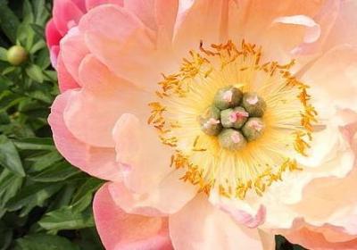 人的品德句子(合集15句)