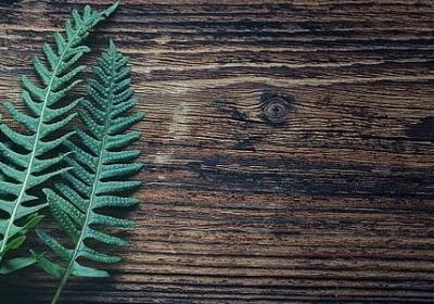 人设简单标签的句子(通用60句)