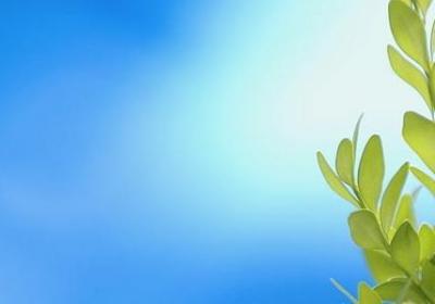 什么人都靠不住的句子(15句)