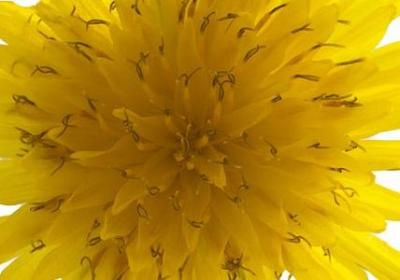 人人视频事件句子(精选5句)