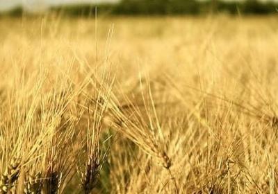 人性之阴暗句子(精选50句)