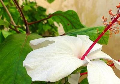 人心态不好的句子(必备60句)