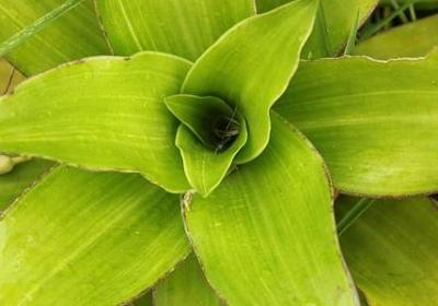 人心远的句子(60句)