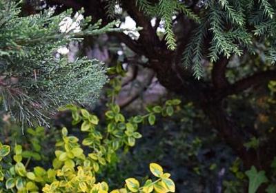 人情事的句子(必备50句)