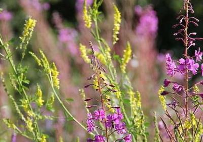 人心邪恶的句子(50句)