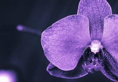 人心不能付出的句子(实用40句)