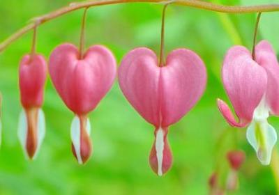 人物动作超美的句子(实用70句)