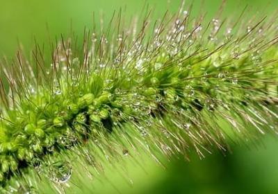 人物前后表现不同句子(实用50句)