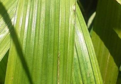 人生处处的美景句子(优选40句)