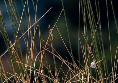 人生名利情义的句子(热门80句)