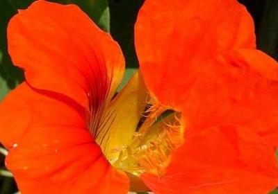 人生哲理句子说说(70句)