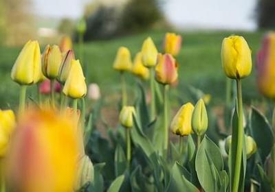 人生复杂的句子(精选80句)