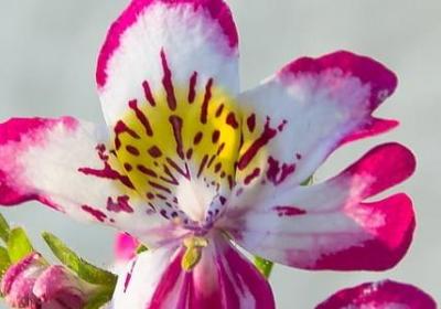 人生就像炸鸡句子(必备20句)