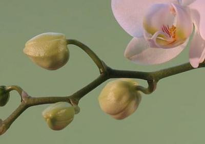 人生感叹句子(合集80句)