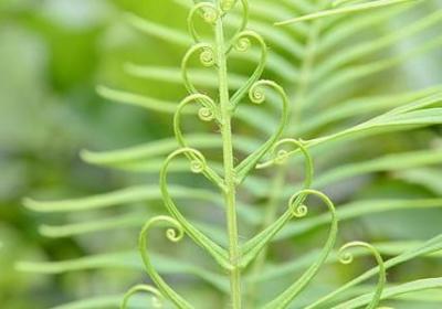 人生忠告句子(推荐70句)