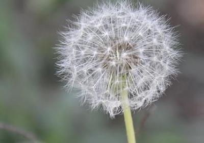 人生态度的句子(优选60句)