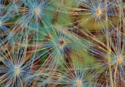 人生奥秘的句子(汇总60句)