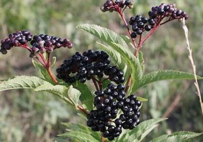 人生的文案句子之路(共80句)