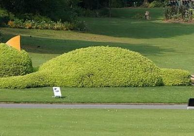 人生没好的句子(45句)