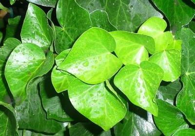 人生重来的句子(合集50句) 人生重来的句子(合集50句)