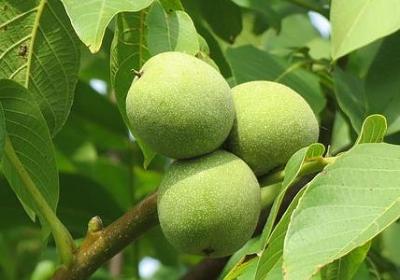 人生起起伏伏的句子(推荐40句) 人生起起伏伏的句子(推荐40句)