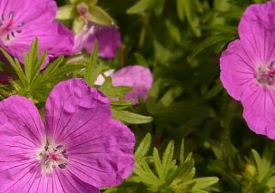 人生远去的句子(热门50句) 人生远去的句子(热门50句)