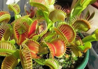 什么不仅什么还什么写句子(30句)