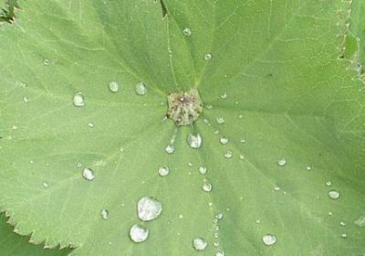 什么但是什么造句子(优选41句)