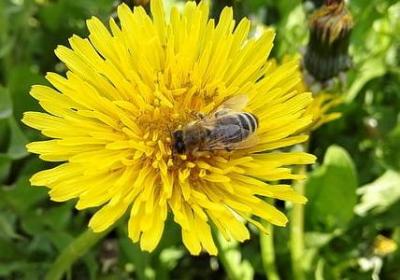 什么句子带籽(优选40句)