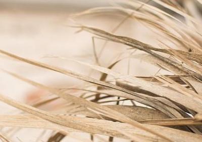 什么但什么造句子(精选40句) 什么但什么造句子(精选40句)