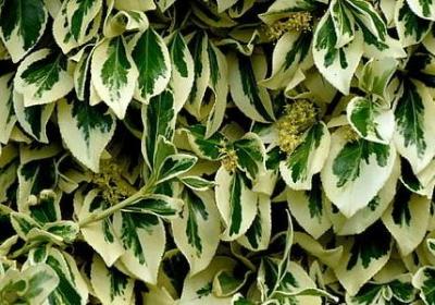 人在旅途的经典句子(精选80句)