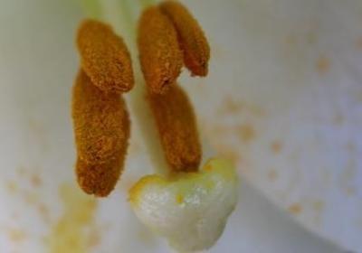 人心不平的报应句子(汇总50句)