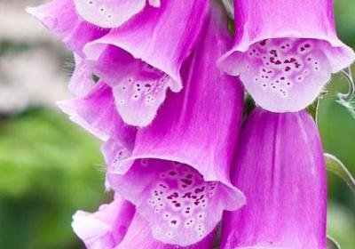 人心态乐观的句子(精选20句)