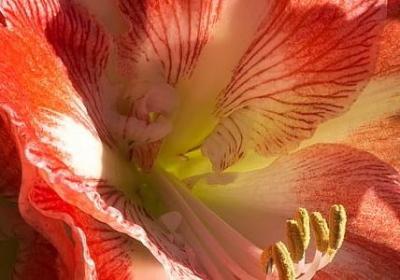 人心险恶的句子(热门60句)