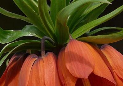 人物动作参考唯美句子(共60句)