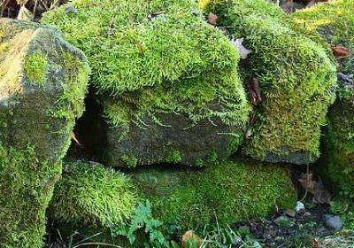 人生三天句子(推荐50句)