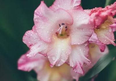 人物外貌的词语句子(实用45句)