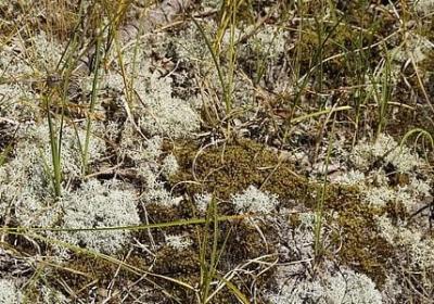 人生不强大的句子(推荐40句)